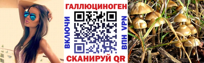 Галлюциногенные грибы Psilocybine cubensis  Купить закладки  Лениногорск 